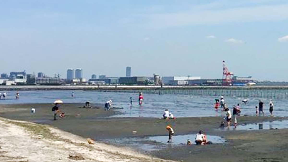 ふなばし三番瀬海浜公園