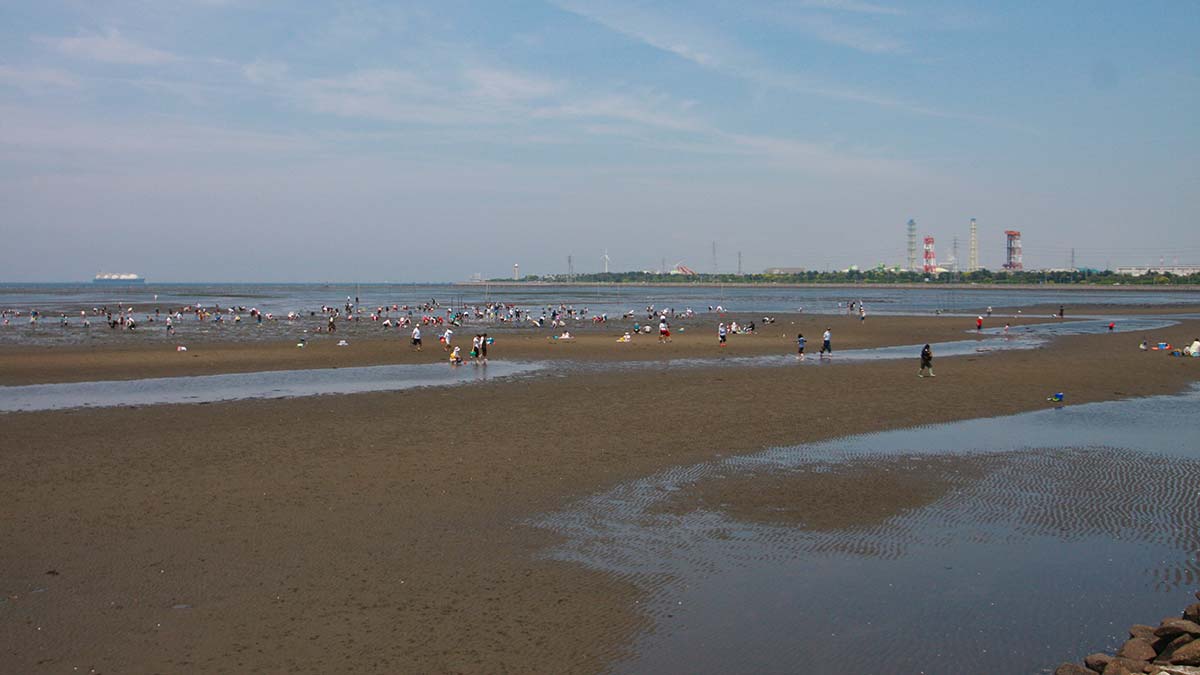 牛込海岸